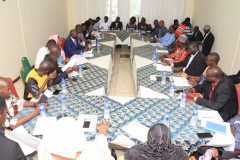 Diaspora in the Draft Constitution and in Policy Development