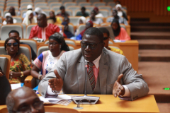 MSDG-SNF7-Diaspora-Investment-Almami-Taal