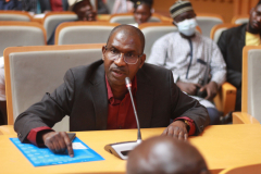 MSDG-SNF7-Diaspora-Investment-Demba-Baldeh