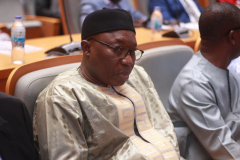 MSDG-SNF7-Former-Finance-Minister