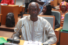 MSDG-SNF7-Opening-Session-Prof-Faal-Brother-2