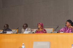 WORKSHOP-1-DIASPORA-26
