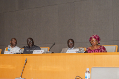 WORKSHOP-1-DIASPORA-27