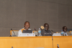 WORKSHOP-1-DIASPORA-29