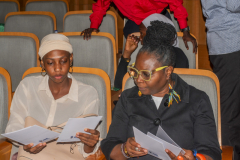 WORKSHOP-1-DIASPORA-30