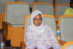 WORKSHOP-1-DIASPORA-32
