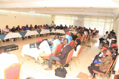 Workshop 3 - Practicalities of Diaspora Business and Investment